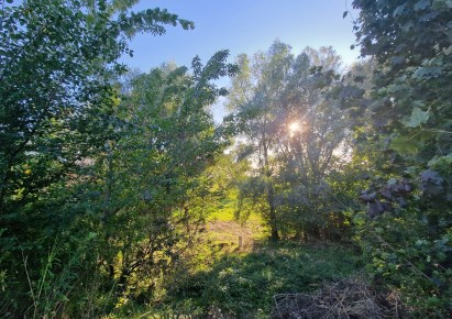 działka na sprzedaż - Toruń, Kaszczorek, Turystyczna